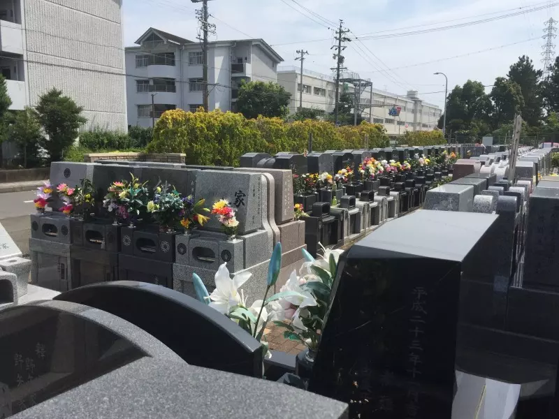 清水ベイサイドメモリアルの画像5