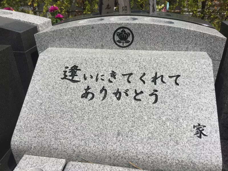 清水ベイサイドメモリアルの画像8-2
