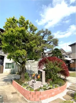 眞英寺（真英寺）　樹木葬・永代供養墓_4