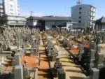 大通寺墓苑 大通寺墓苑