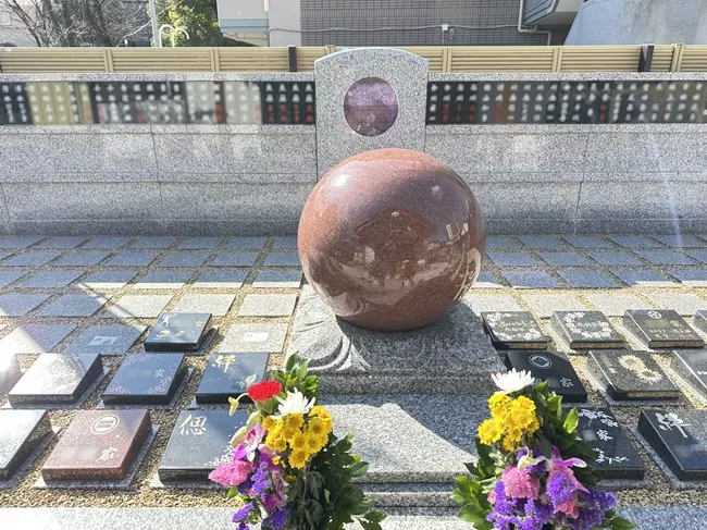 新高の紫苑_3