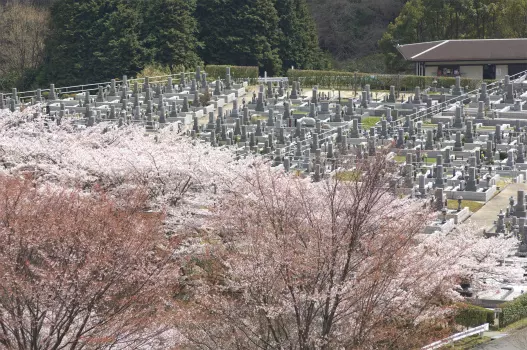 総本山四天王寺　高安山霊園_3