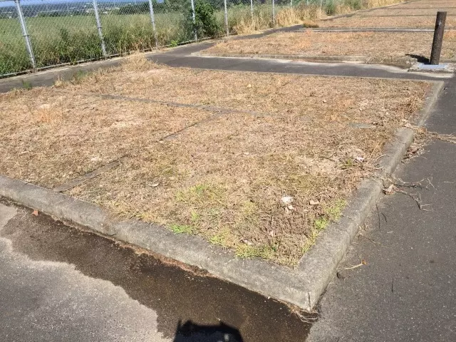 琴浦町営　きらり墓地_4