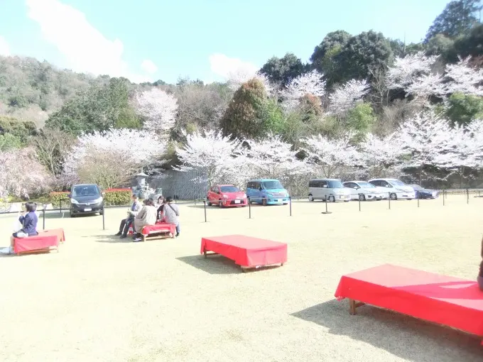 京都天が瀬メモリアル公園_8