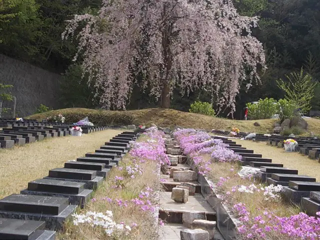 京都天が瀬メモリアル公園_7