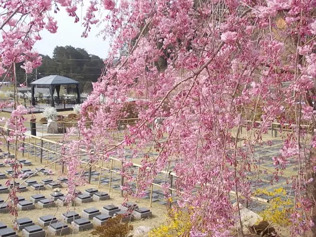 京都天が瀬メモリアル公園_6