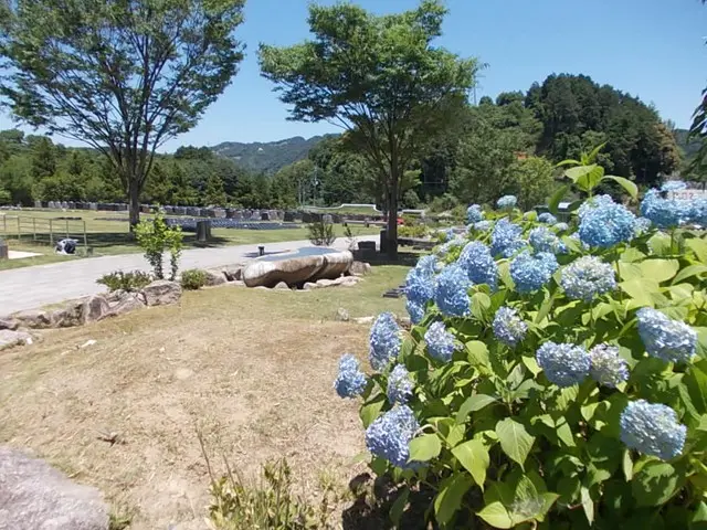 京都天が瀬メモリアル公園_10