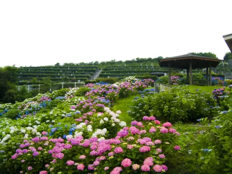 熱海日金山霊園_7