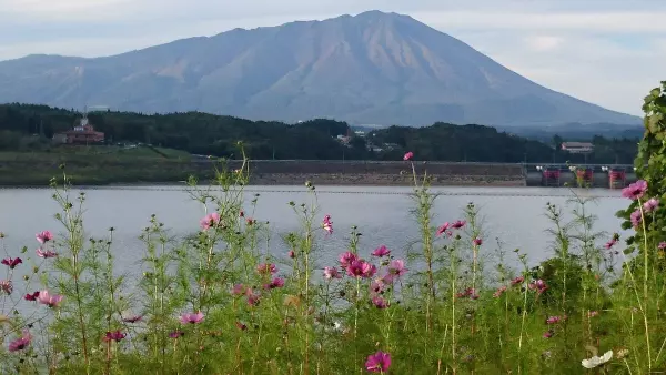 浄土真宗 光蓮寺 ビハーラハウス_7