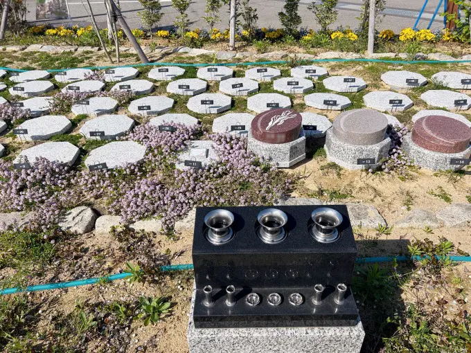 圓光寺浄土苑（円光寺浄土苑）_6