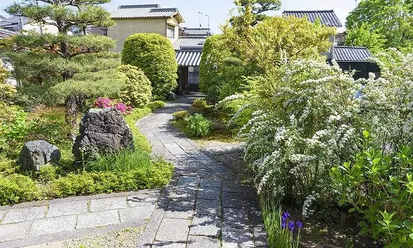 伏見　大信寺　樹木葬墓地_3