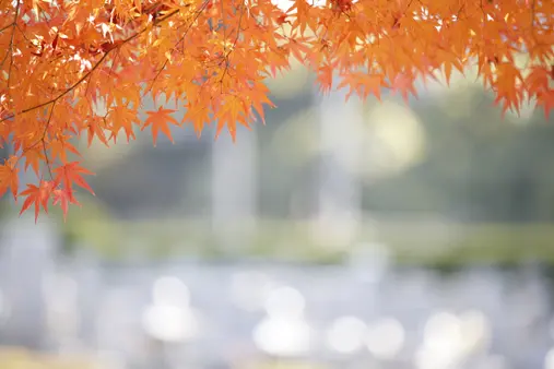 枚方長尾霊苑_13