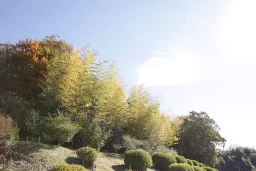 枚方長尾霊苑_9