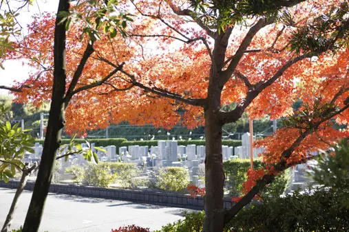 枚方長尾霊苑_11