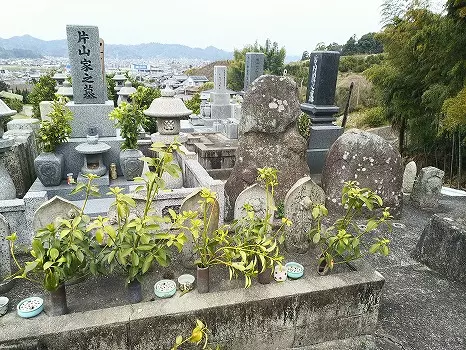 松山市営　平田墓地_4