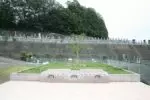 入間霊園　ガーデニング型樹木葬　フラワージュ「桜」