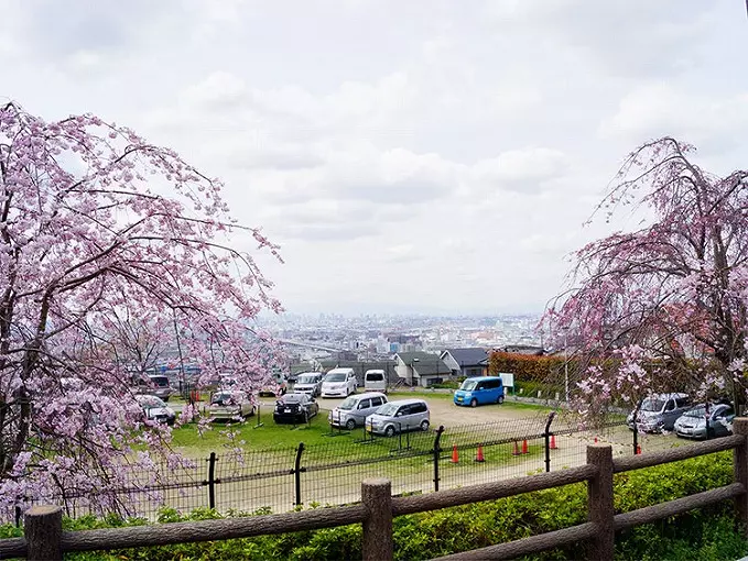 重願寺境内墓地_3