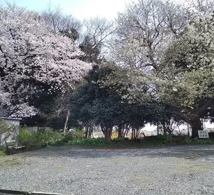 観音寺_3