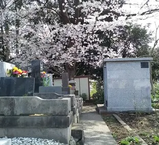 観音寺_2