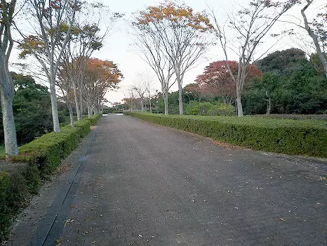 唐津市墓地公園_5