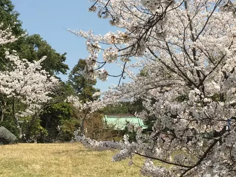 乾坤院墓苑_10