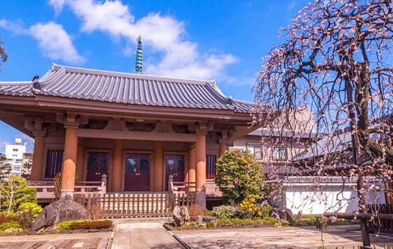 金剛院 永代供養墓・樹木葬風景