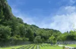 京都天が瀬メモリアル公園 京都天が瀬メモリアル公園
