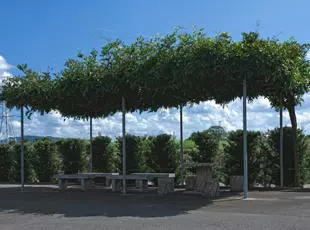 益城墓苑（東熊本霊廟）_3