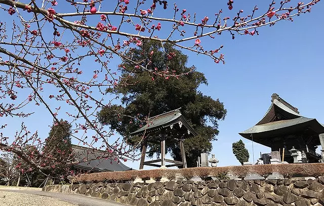壬生樹木葬墓地_2