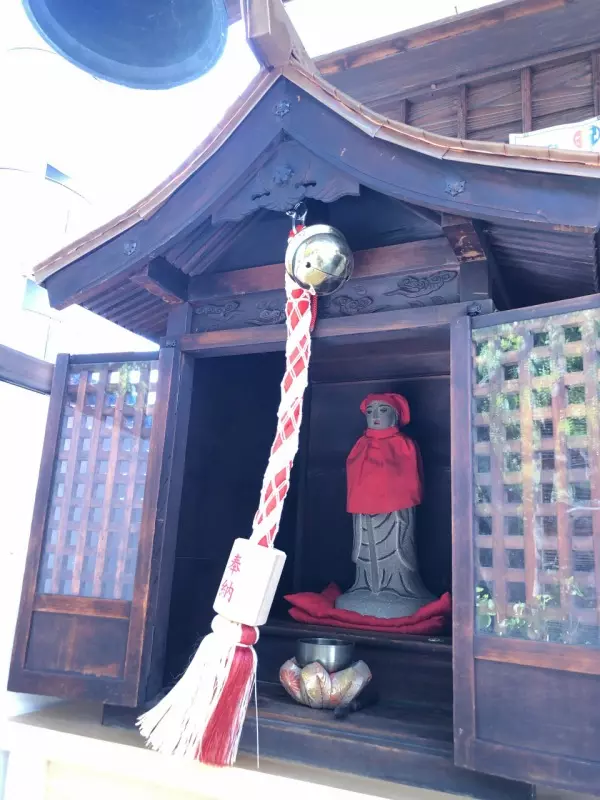 新高の紫苑_6