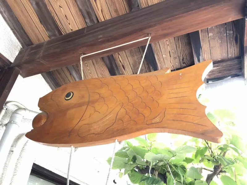 新高の紫苑_7