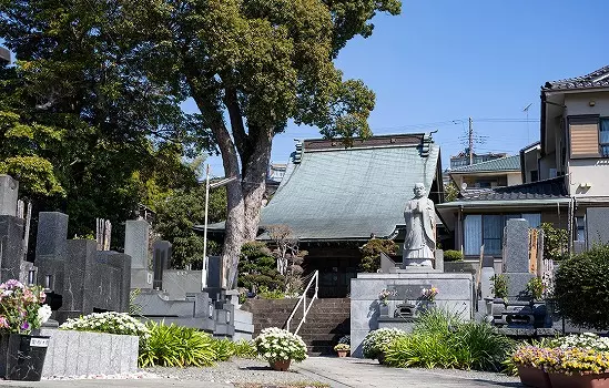小田原樹木葬墓地_3