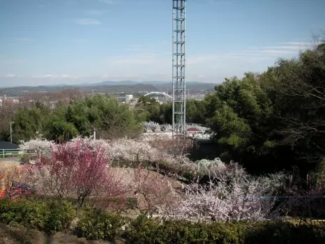 霊岩寺墓苑_9