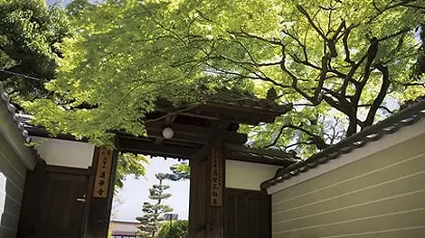 五智山 蓮華寺_3
