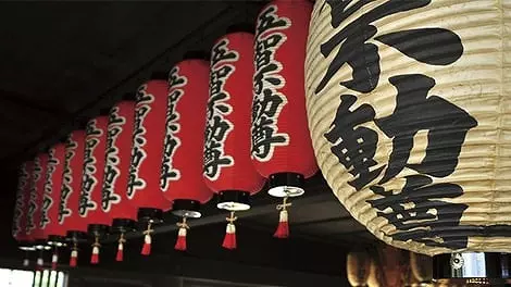 五智山 蓮華寺_4