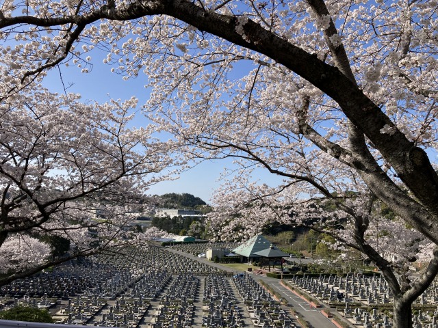 新宮霊園