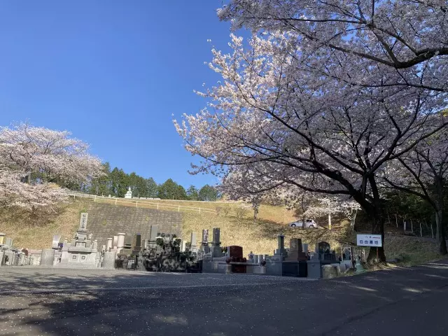 新宮霊園_9