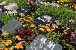 新上桂霊園 樹木葬の画像1