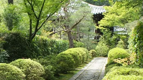 大本山大徳寺塔頭　正受院_3