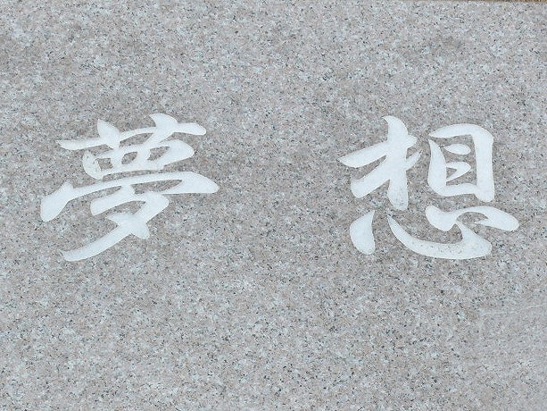 湘南森林レポ19