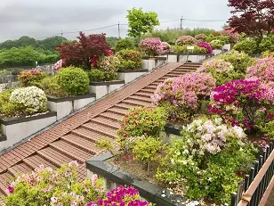 太子霊園_6