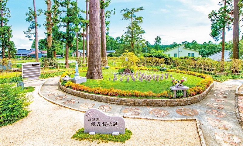 永代供養付樹木葬（自然葬墓地）「鎌足桜の風」