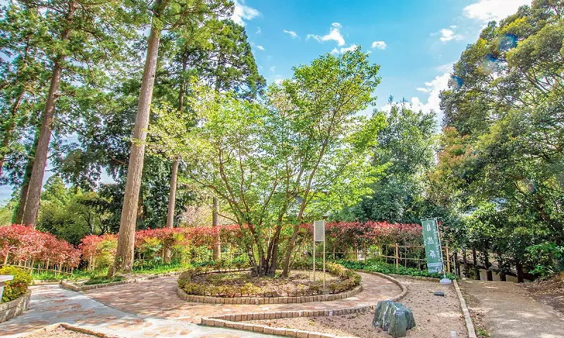 高倉観音・髙藏寺　永代供養墓・樹木葬_6