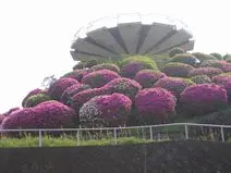 総本山四天王寺　高安山霊園_8