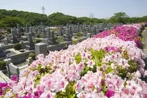 総本山四天王寺　高安山霊園_4