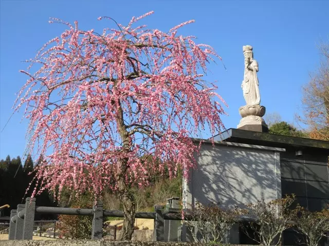 やすらぎ霊園　竹中墓地_11
