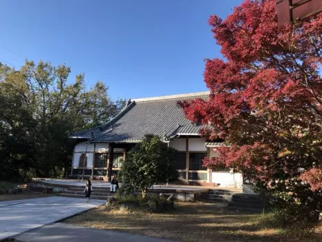 徳林寺　永代供養墓_8