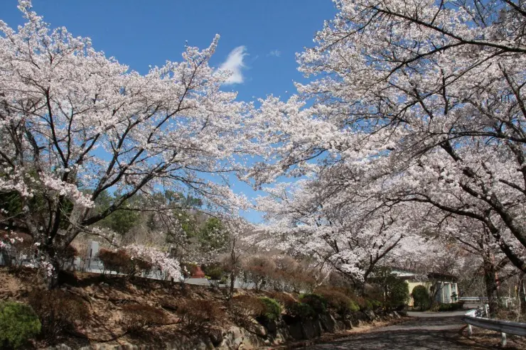 都留聖地霊園_6