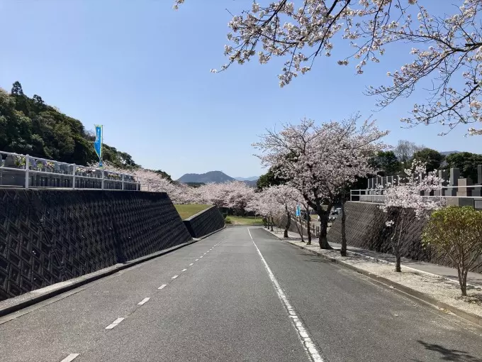 百合ヶ丘霊園_13