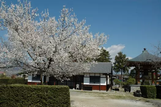 瑞蓮寺　合祀墓供養_3